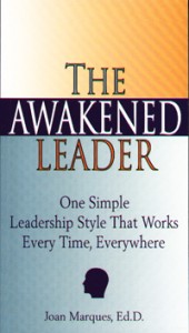 the-awakened-leader